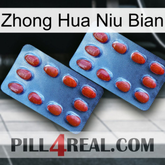 Zhong Hua Niu Bian 05